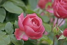 Kleinkläranlage - Kläranlage