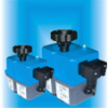 Electric rotary actuators
