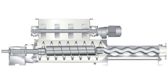 NEMO® SP Trichter-Exzenterschneck